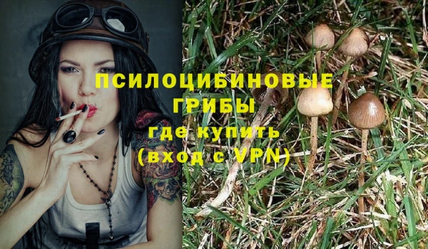 spice Ростов