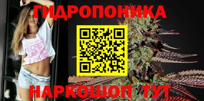 гидра Гусев